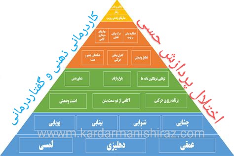 علائم و درمان اختلال پردازش حسی شیراز